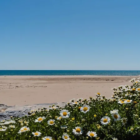 T3 Climatise Avec Piscine, Balcon, Parking, A 400m De La - Narbonne-plage - Fr-1-409-30 Apartman