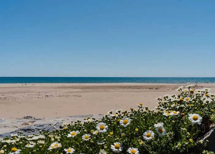 T3 Climatise Avec Piscine, Balcon, Parking, A 400m De La - Narbonne-plage - Fr-1-409-30 Διαμέρισμα